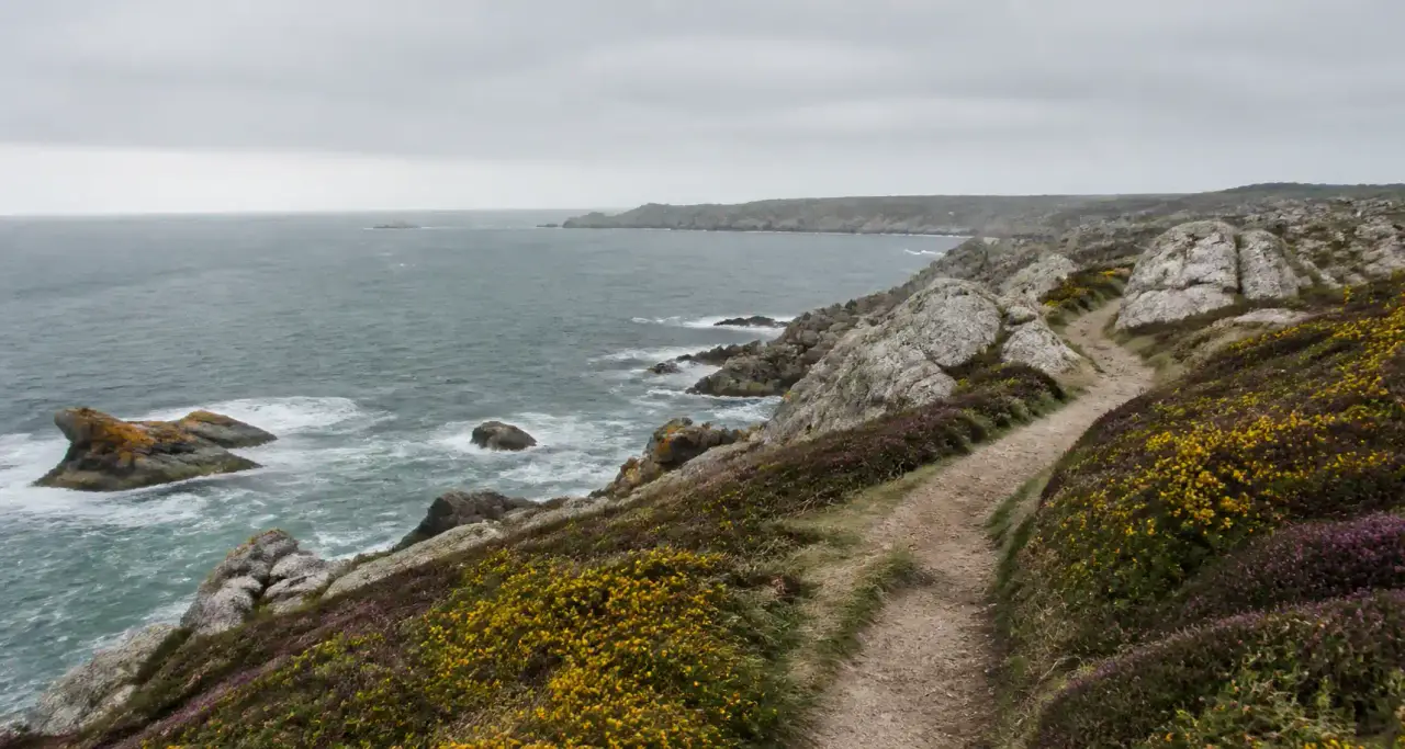 Sentier côtier balisé sur une pointe de granit bretonne, ajoncs en fleurs et mer gris-vert sous un ciel couvert