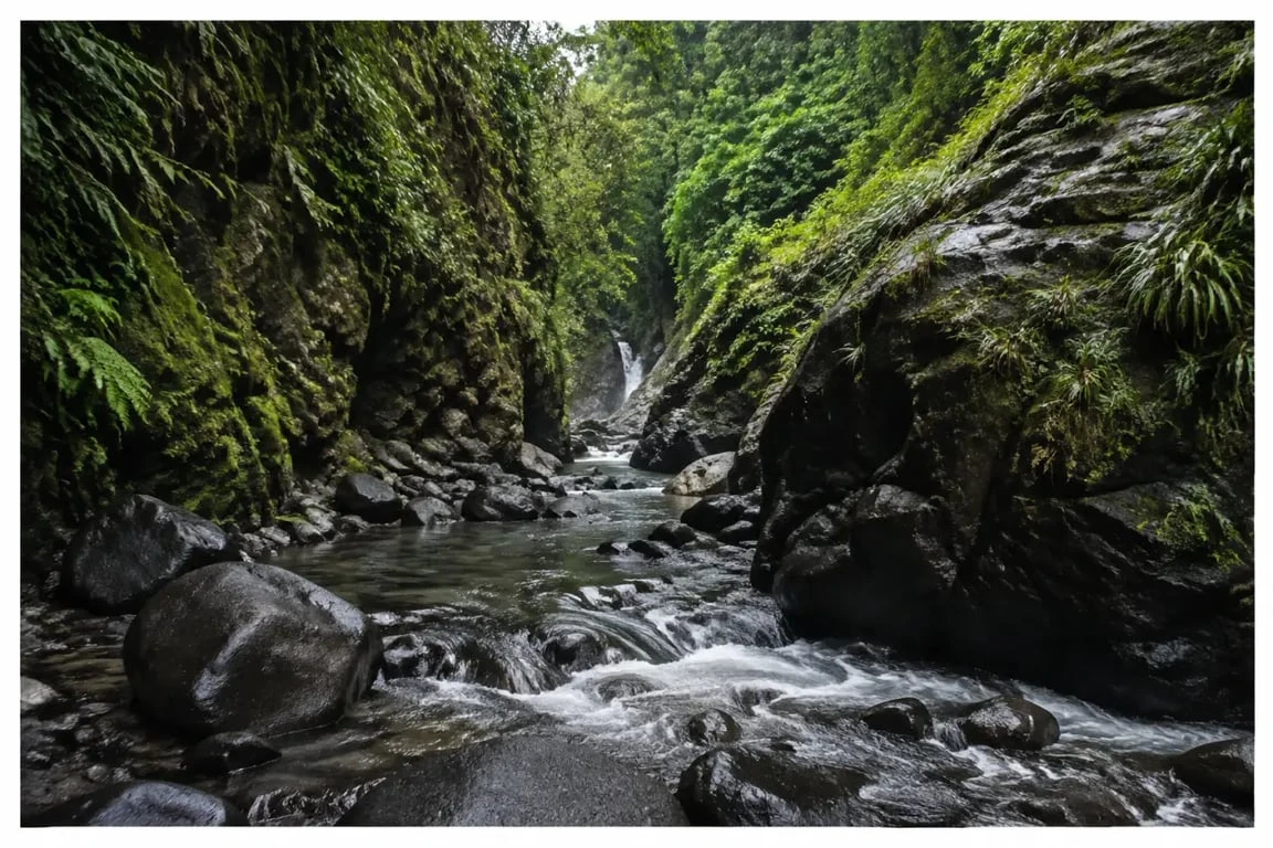 Gorges de la randonnée Alma Martinique avec rivière et cascade